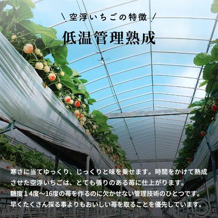 香川県東かがわ市のふるさと納税 空浮いちご 8パック「北海道・沖縄・離島へのお届け不可」 果物 フルーツ 香川県産 ハウス育ち デザート おやつ 食後 お菓子作り ケーキ作り