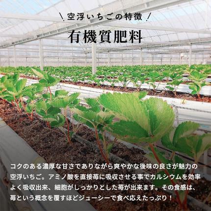 香川県東かがわ市のふるさと納税 空浮いちご 8パック「北海道・沖縄・離島へのお届け不可」 果物 フルーツ 香川県産 ハウス育ち デザート おやつ 食後 お菓子作り ケーキ作り
