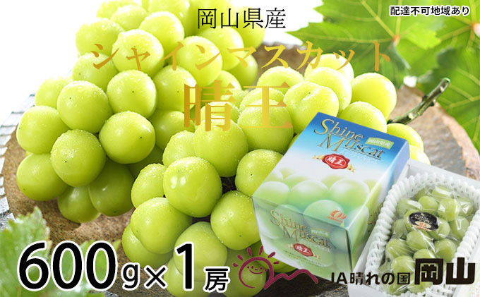 岡山県玉野市のふるさと納税 ぶどう 2026年 先行予約 シャイン マスカット 晴王 約600g×1房 ブドウ 葡萄  岡山県産 国産 フルーツ 果物 ギフト 果物類