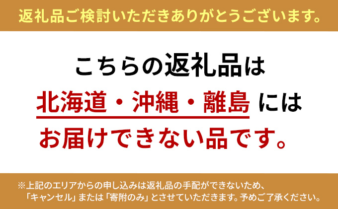 岡山県玉野市のふるさと納税 ぶどう 2026年 先行予約 シャイン マスカット 晴王 約600g×1房 ブドウ 葡萄  岡山県産 国産 フルーツ 果物 ギフト 果物類