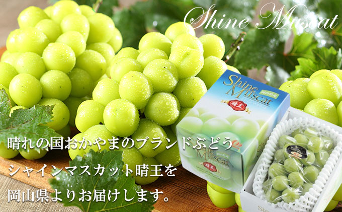 岡山県玉野市のふるさと納税 ぶどう 2026年 先行予約 シャイン マスカット 晴王 約600g×1房 ブドウ 葡萄  岡山県産 国産 フルーツ 果物 ギフト 果物類
