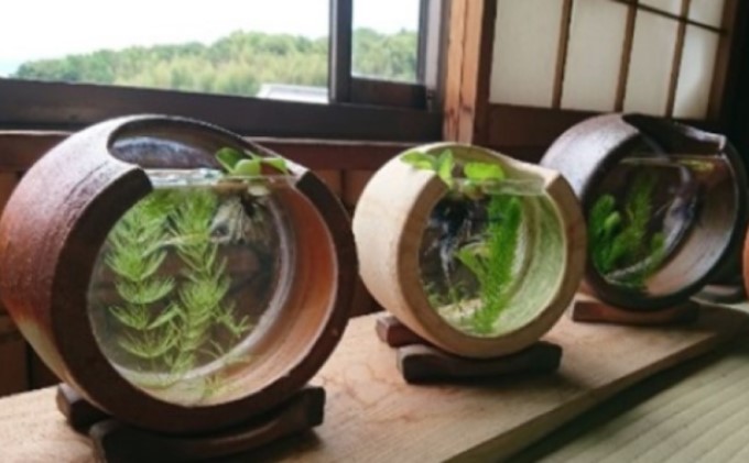 岡山県玉野市のふるさと納税 【東児の花窯】備前焼　めだか鉢　ベージュ　緋襷（ひだすき） 民芸品 工芸品 インテリア