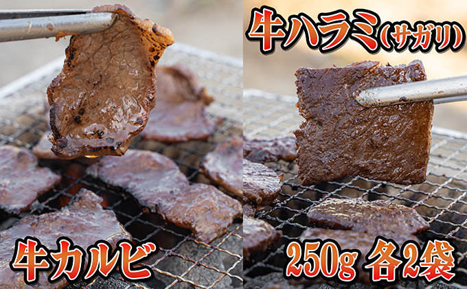 北海道赤平市のふるさと納税 今夜は焼肉！5種類の豪華焼肉セット 牛肉 ホルモン 羊肉 ラム肉 お肉 バーベキュー