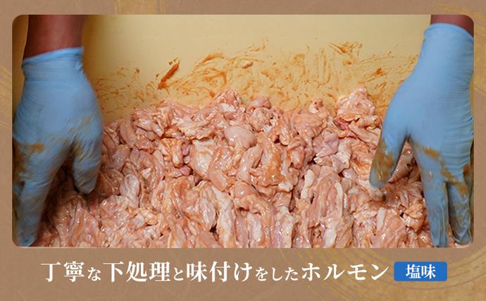 北海道赤平市のふるさと納税 たきもとのホルモン（塩味）・味付ジンギスカン 豚肉 羊肉 ラム肉 ふるさと納税