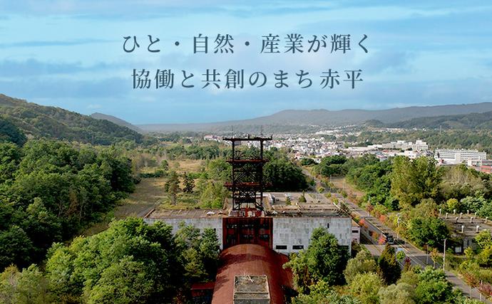 北海道赤平市のふるさと納税 たきもとのホルモン（塩味）・味付ジンギスカン 豚肉 羊肉 ラム肉 ふるさと納税