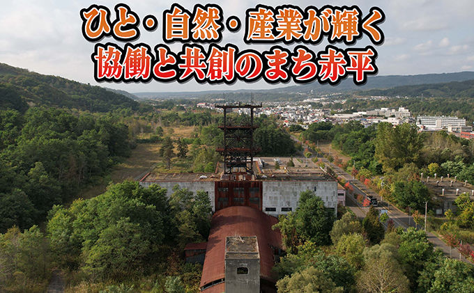 北海道赤平市のふるさと納税 パリッとジューシー！あかびらホットレッグ（5本入り） 鶏肉 お肉 牛肉 モモ 鶏肉唐揚げ