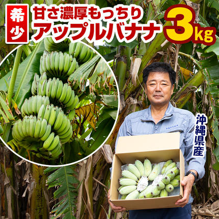 希少】甘さ濃厚もっちりアップルバナナ3kg / 沖縄県南風原町 | セゾン