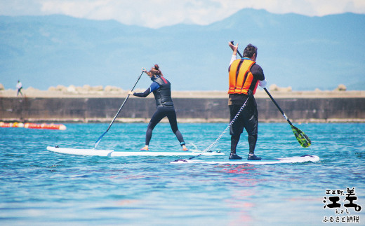 北海道江差町のふるさと納税 北海道江差町かもめ島応援寄附　江差のシンボル「かもめ島」の環境保全・景観保護・にぎわい創出支援【返礼品なし】