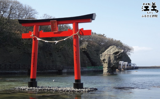 北海道江差町のふるさと納税 北海道江差町かもめ島応援寄附　江差のシンボル「かもめ島」の環境保全・景観保護・にぎわい創出支援【返礼品なし】