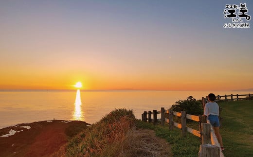 北海道江差町のふるさと納税 北海道江差町かもめ島応援寄附　江差のシンボル「かもめ島」の環境保全・景観保護・にぎわい創出支援【返礼品なし】