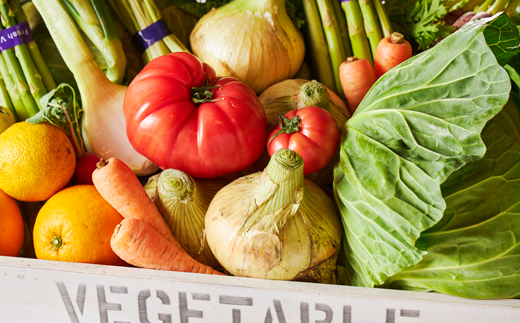 兵庫県淡路市のふるさと納税 淡路島産野菜定期便６ヶ月セット【毎月下旬平日お届け】　野菜セット