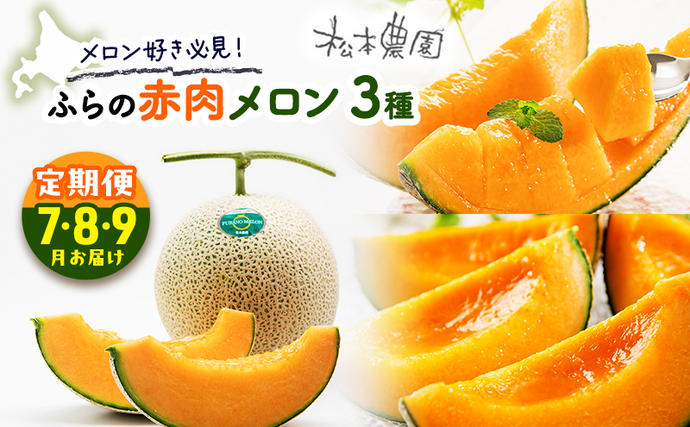 北海道富良野市のふるさと納税 【2026年7～9月連続お届け】メロン 好き必見！ ふらの 赤肉 メロン3種 贅沢 定期便 北海道 富良野市 食べ比べ  (松本農園) メロン フルーツ 果物 新鮮 甘い 贈り物 ギフト 道産 ジューシー おやつ ふらの ブランド 夏