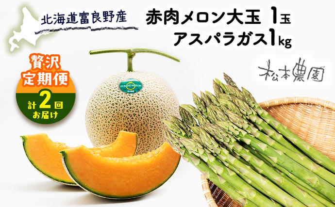 【2026年4～9月 計2回お届け】北海道