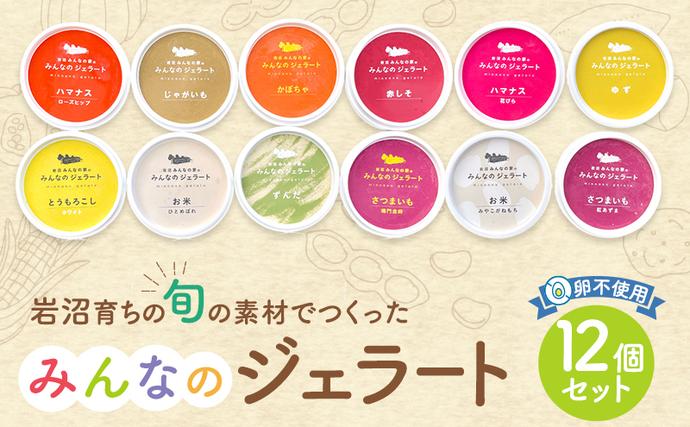 宮城県岩沼市のふるさと納税 岩沼 みんなの家の 「 みんなのジェラート 」 12個 詰め合わせ セット アイス ジェラート