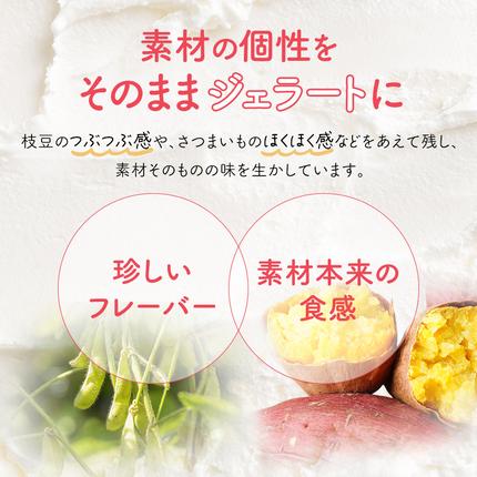 宮城県岩沼市のふるさと納税 岩沼 みんなの家の 「 みんなのジェラート 」 12個 詰め合わせ セット アイス ジェラート