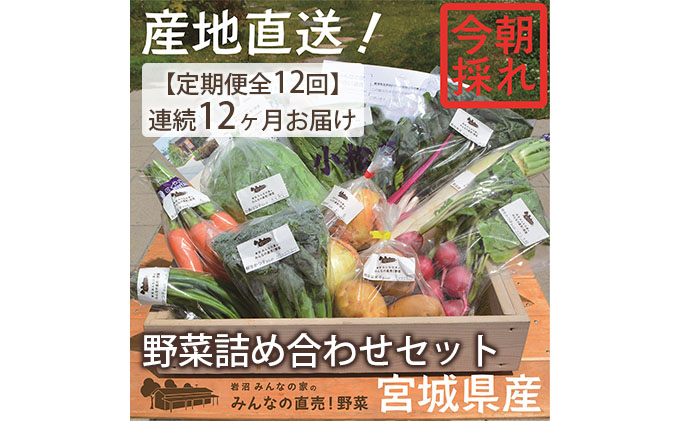 宮城県岩沼市のふるさと納税 野菜 定期便 12ヵ月 朝どれ 野菜セット 8～10個 詰め合わせ 岩沼みんなの家 みんなの直売! 季節の野菜 旬の野菜 旬 東北 震災 支援 12ヶ月 産地直送 送料無料 冷蔵 冷蔵配送 宮城県産 宮城 宮城県 岩沼市 定期 12回
