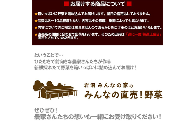 宮城県岩沼市のふるさと納税 【定期便全4回】3ヶ月に1度お届け！岩沼みんなの家の「みんなの直売！野菜」セット詰め合わせ隔月4回 詰合せ