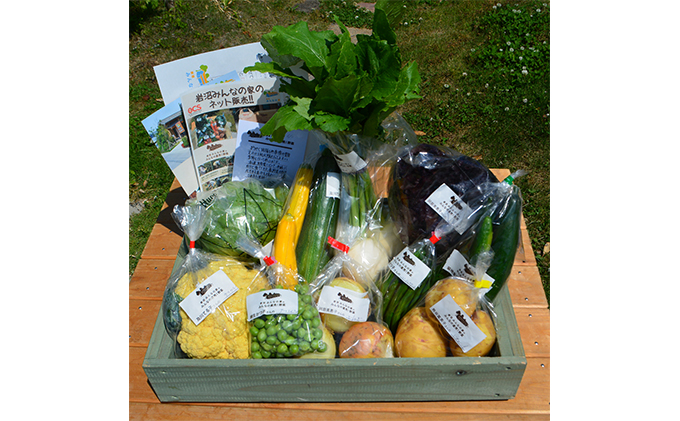 宮城県岩沼市のふるさと納税 野菜 定期便 12ヵ月 朝どれ 野菜セット 8～10個 詰め合わせ 岩沼みんなの家 みんなの直売! 季節の野菜 旬の野菜 旬 東北 震災 支援 12ヶ月 産地直送 送料無料 冷蔵 冷蔵配送 宮城県産 宮城 宮城県 岩沼市 定期 12回