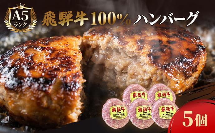 ふるさと納税　飛騨牛 ハンバーグ ロースバ