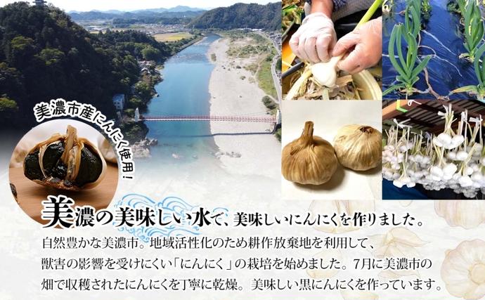 岐阜県美濃市のふるさと納税 うだつの町 美濃の黒にんにく にんにく ニンニク 加工食品 熟成 甘い フルーティー まろやか うまみ 乾燥 凝縮 国産 送料無料 岐阜県 美濃市