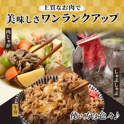 岐阜県池田町のふるさと納税 飛騨牛 牛肉 切り落とし 500g×4 計2kg A5 和牛 焼肉 もも肉 モモ バラ カルビ お肉 ブランド和牛