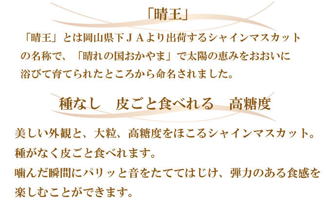 岡山県瀬戸内市のふるさと納税 ぶどう 2026年 先行予約 シャイン マスカット 晴王 約600g×2房 8月下旬～11月下旬発送 ブドウ 葡萄  岡山県産 国産 フルーツ 果物 ギフト 岡山の葡萄 デザート 食後