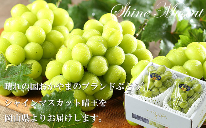 岡山県瀬戸内市のふるさと納税 ぶどう 2026年 先行予約 シャイン マスカット 晴王 約600g×2房 8月下旬～11月下旬発送 ブドウ 葡萄  岡山県産 国産 フルーツ 果物 ギフト 岡山の葡萄 デザート 食後