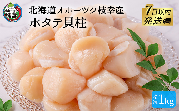 枝幸ほたて】甘みたっぷり肉厚！大粒冷凍ほたて貝柱1kg 山武水産