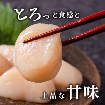 北海道枝幸町のふるさと納税 北海道 オホーツク産 ふるさとの贈り物 1.3kgの冷凍ほたて貝柱【枝幸ほたて】至福の味 海洋食品 【 刺身 魚介 帆立 超目玉 魚介類 ホタテ 帆立 北海道 オホーツク 枝幸 】