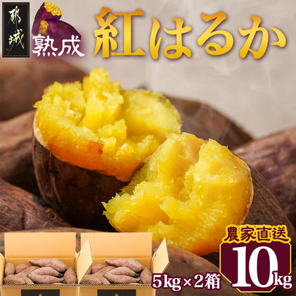 [農家直送]山下農園 熟成紅はるか 10kg〔AA-I705〕