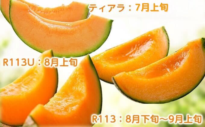 北海道富良野市のふるさと納税 【2026年7～9月連続お届け】3品種 ふらの メロン 定期便 ≪計3玉≫ 北海道 富良野市 (高見農園) メロン フルーツ 果物 新鮮 甘い 贈り物 ギフト 道産 ジューシー おやつ ふらの ブランド 夏