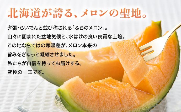 北海道富良野市のふるさと納税 【2026年7～9月連続お届け】3品種 ふらの メロン 定期便 ≪計3玉≫ 北海道 富良野市 (高見農園) メロン フルーツ 果物 新鮮 甘い 贈り物 ギフト 道産 ジューシー おやつ ふらの ブランド 夏