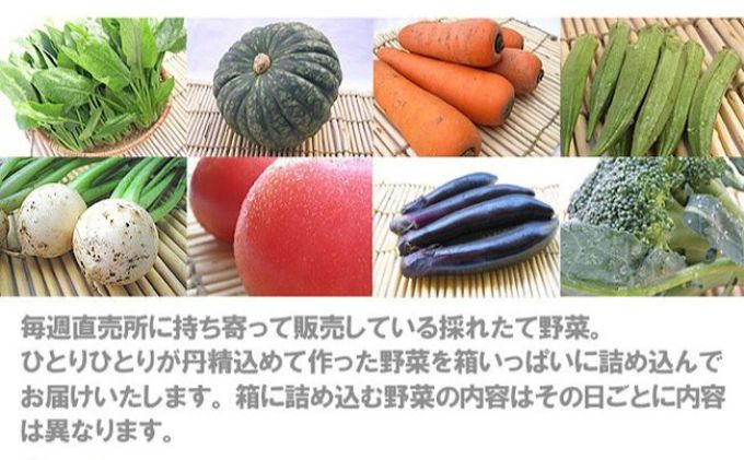 宮城県岩沼市のふるさと納税 野菜 定期便 12ヵ月 朝どれ 野菜セット 8～10個 詰め合わせ 岩沼みんなの家 みんなの直売! 季節の野菜 旬の野菜 旬 東北 震災 支援 12ヶ月 産地直送 送料無料 冷蔵 冷蔵配送 宮城県産 宮城 宮城県 岩沼市 定期 12回
