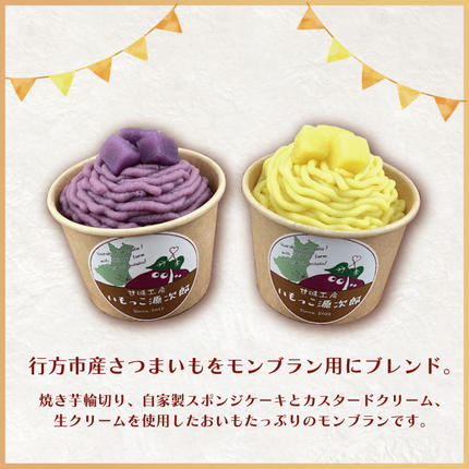 茨城県行方市のふるさと納税 EI-1　2種モンブランセット