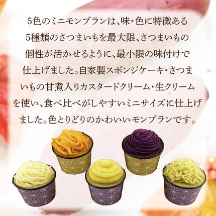 茨城県行方市のふるさと納税 EI-4　焼き菓子・5色のミニモンブラン・行方産焼き芋・2種のモンブランセット