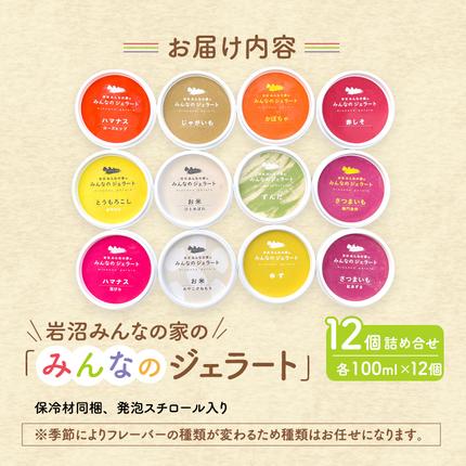 宮城県岩沼市のふるさと納税 岩沼 みんなの家の 「 みんなのジェラート 」 12個 詰め合わせ セット アイス ジェラート