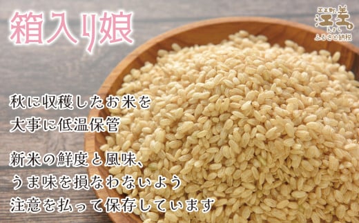 北海道江差町のふるさと納税 【セゾン限定寄附額】《定期便3か月》契約農家栽培 江差追分米『ふっくりんこ』【5kg×3回】令和7年産　2025年産　北海道江差町産　北海道米　白米　精米　お米　おこめ　こめ　ご飯　ごはん　農家直送　単一原料米　ブランド米　ふっくら食感、ここちよい甘さ