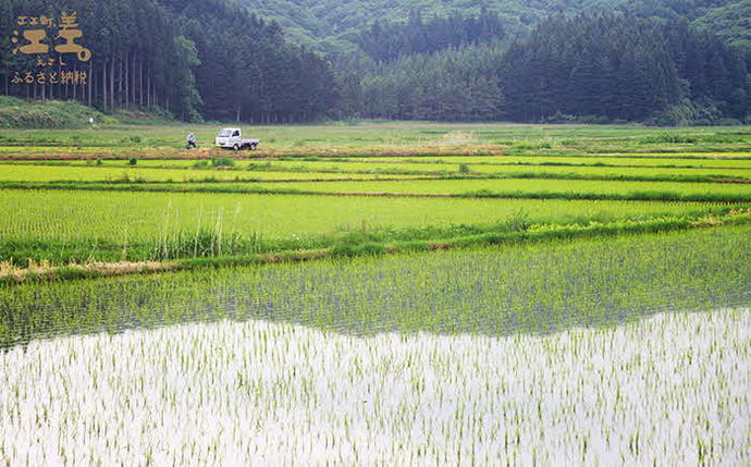 北海道江差町のふるさと納税 《定期便3か月》契約農家栽培 江差追分米『ななつぼし』【5kg×3回】令和7年産　2025年産　北海道江差町産　北海道米　白米　精米　お米　おこめ　こめ　ご飯　ごはん　農家直送　単一原料米　ブランド米　甘みと粘りの調和