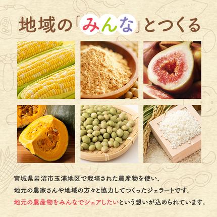 宮城県岩沼市のふるさと納税 岩沼 みんなの家の 「 みんなのジェラート 」 8個 詰め合わせ セット アイス ジェラート