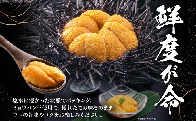 北海道洞爺湖町のふるさと納税 北海道 塩水 ウニ 100g 2パック 1月下旬頃～3月末頃まで順次出荷 バフン ムラサキ うに 雲丹 海鮮 ミョウバン不使用 小川商店