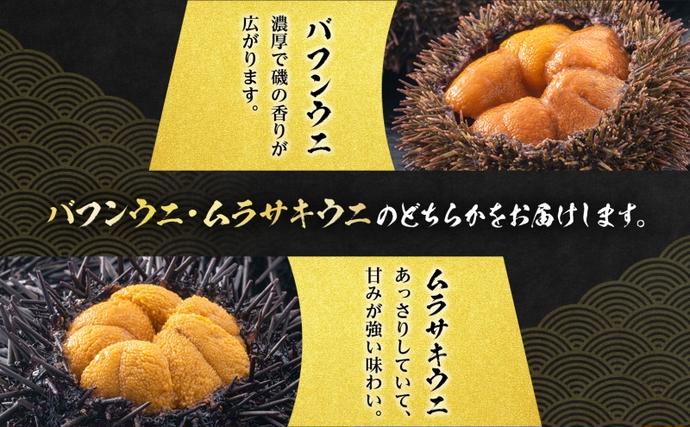 北海道洞爺湖町のふるさと納税 北海道 塩水 ウニ 100g 2パック 1月下旬頃～3月末頃まで順次出荷 バフン ムラサキ うに 雲丹 海鮮 ミョウバン不使用 小川商店