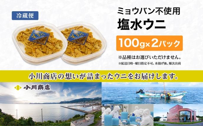 北海道洞爺湖町のふるさと納税 北海道 塩水 ウニ 100g 2パック 1月下旬頃～3月末頃まで順次出荷 バフン ムラサキ うに 雲丹 海鮮 ミョウバン不使用 小川商店