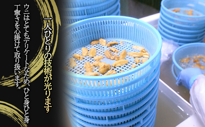 北海道洞爺湖町のふるさと納税 北海道 塩水 ウニ 100g 2パック 1月下旬頃～3月末頃まで順次出荷 バフン ムラサキ うに 雲丹 海鮮 ミョウバン不使用 小川商店