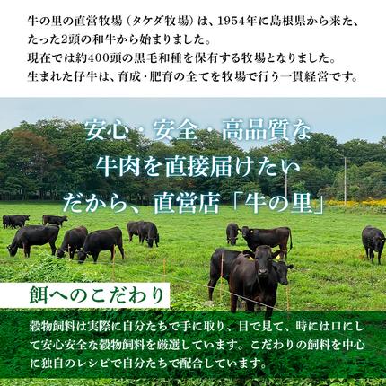 北海道白老町のふるさと納税 牛の里ビーフハンバーグ（110g×8個）特製ソース（8袋）の詰合せ