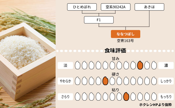 北海道赤平市のふるさと納税 北海道赤平産 ななつぼし 10kg (5kg×2袋) 米 北海道 お米 赤平産