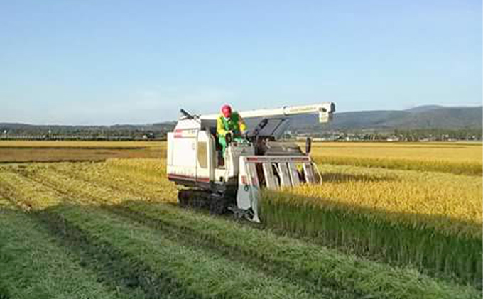 北海道赤平市のふるさと納税 北海道赤平産 きたくりん 5kg 特別栽培米 【3回お届け】 精米 米 北海道 定期便 お米 ふるさと納税