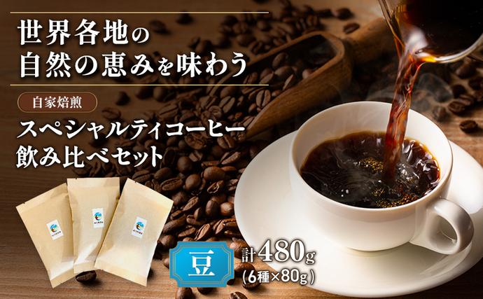 スペシャルティコーヒー「飲み比べセット」（6種×80g） 厳選 良質 自家