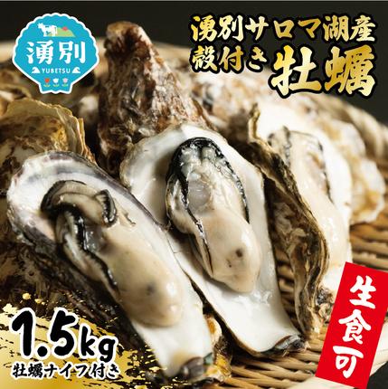 徳之島 天城町 夜光貝（ヤコウガイ） 刺身用 瞬間冷凍 200g カット済み