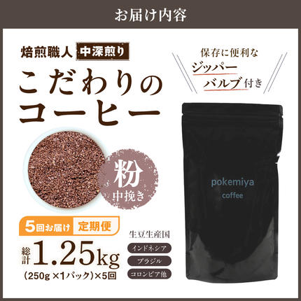 宮崎県都城市のふるさと納税 5回お届け!焙煎職人こだわりのコーヒー定期便【粉】250g 小分けパック(ジッパー・バルブ付) ※中深煎り※ポスト投函_TLA5-3301