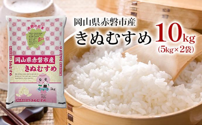 米 2025年産 きぬむすめ 10kg（5